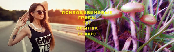 ешки Снежногорск