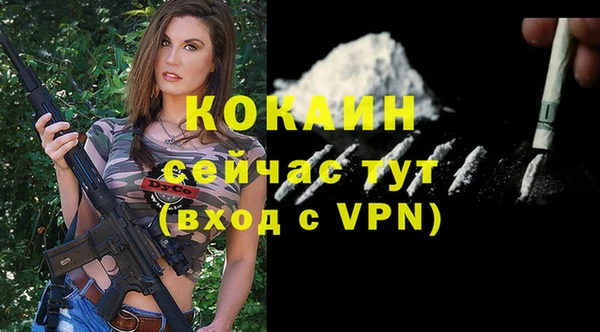 ешки Снежногорск