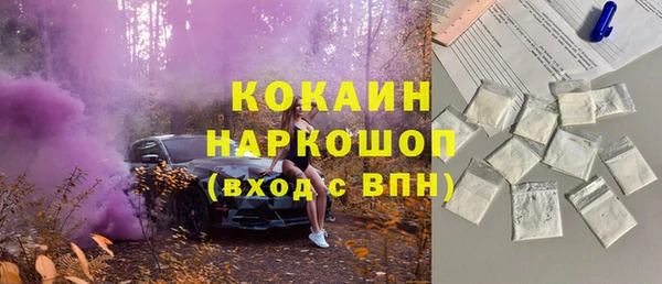 ешки Снежногорск