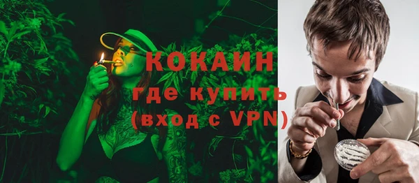 соль ск Богданович