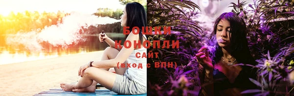 ПСИЛОЦИБИНОВЫЕ ГРИБЫ Богородск